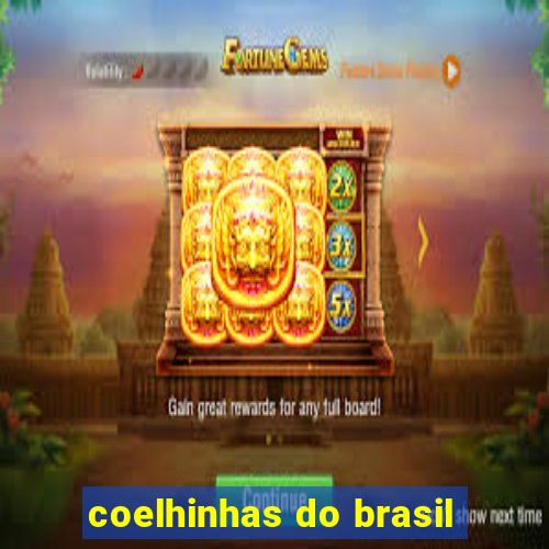 coelhinhas do brasil